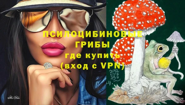 герыч Саяногорск