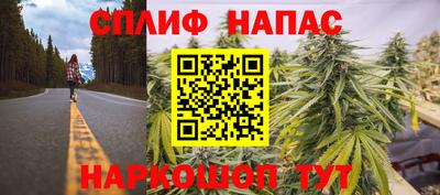 прущие крисы Аргун