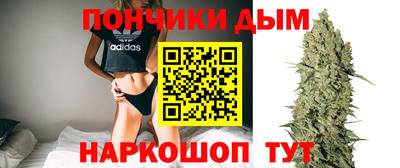 прущие крисы Аргун