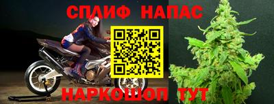 шишки Берёзовский