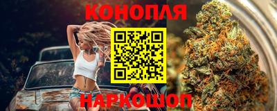 прущие крисы Аргун