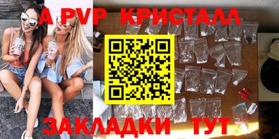 СК Бийск