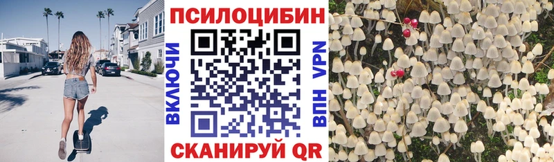 Галлюциногенные грибы мицелий  наркота  Балахна 