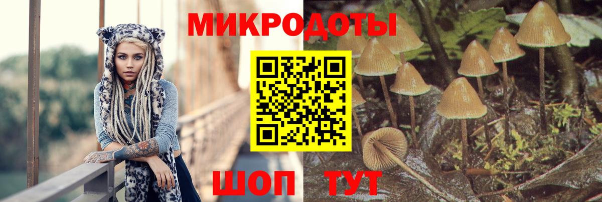 Галлюциногенные грибы MAGIC MUSHROOMS  Псилоцибиновые грибы Psilocybe  Балахна 