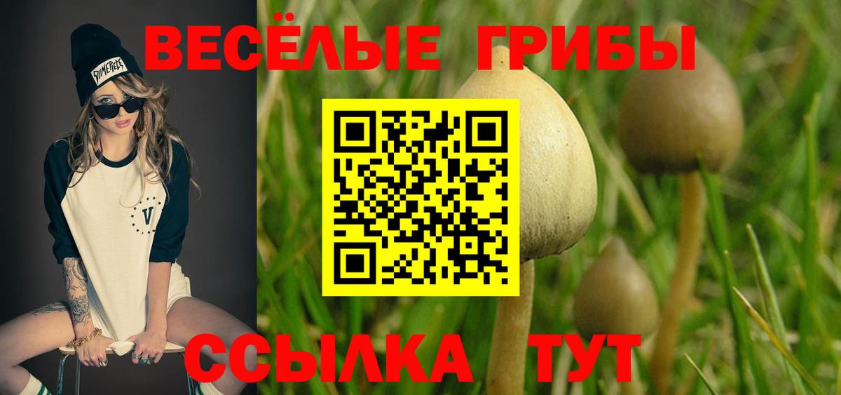 Псилоцибиновые грибы MAGIC MUSHROOMS  Псилоцибиновые грибы мухоморы  Балахна  Вход с VPN 