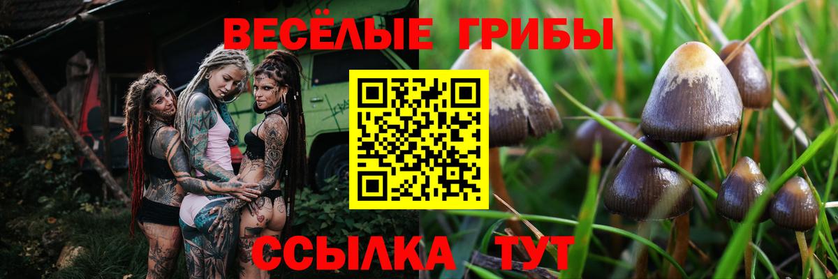 Псилоцибиновые грибы прущие грибы Балахна